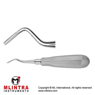 Root Elevator Fig. 39 (Serrated) Stainless Steel, Standard